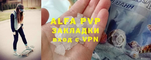 сатива Аркадак