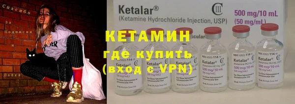 сатива Аркадак