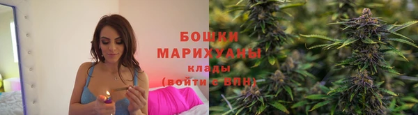 PSILOCYBIN Алексеевка