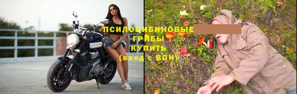 PSILOCYBIN Алексеевка