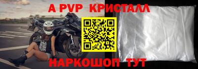СК Шелехов