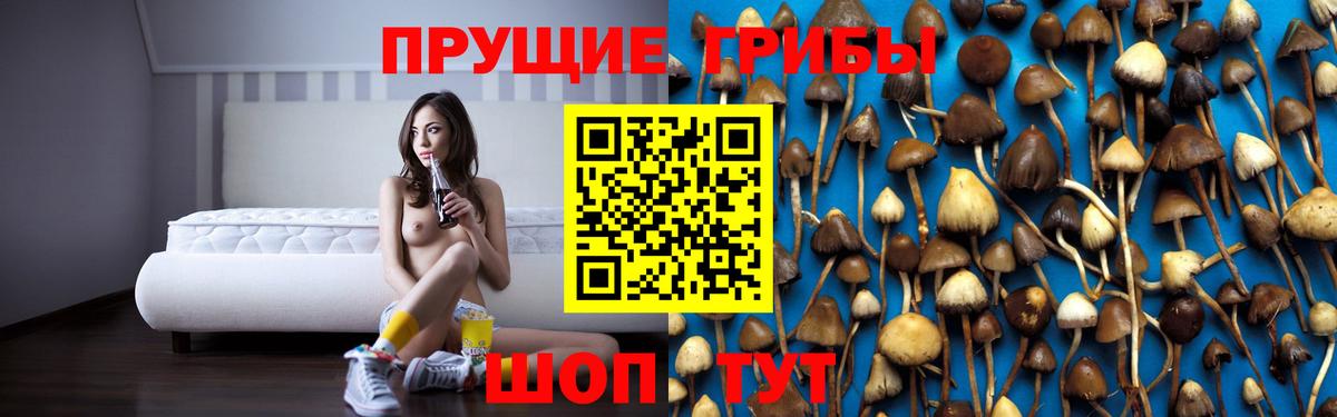 Краснотурьинск  Псилоцибиновые грибы Psilocybe  Вход с VPN 