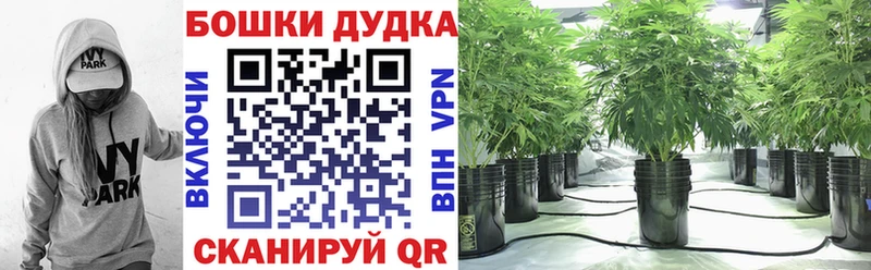 Бошки марихуана план Краснотурьинск
